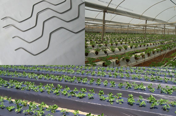 Greenhouse Accessories in south india