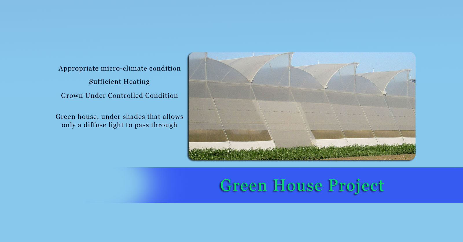 Green House